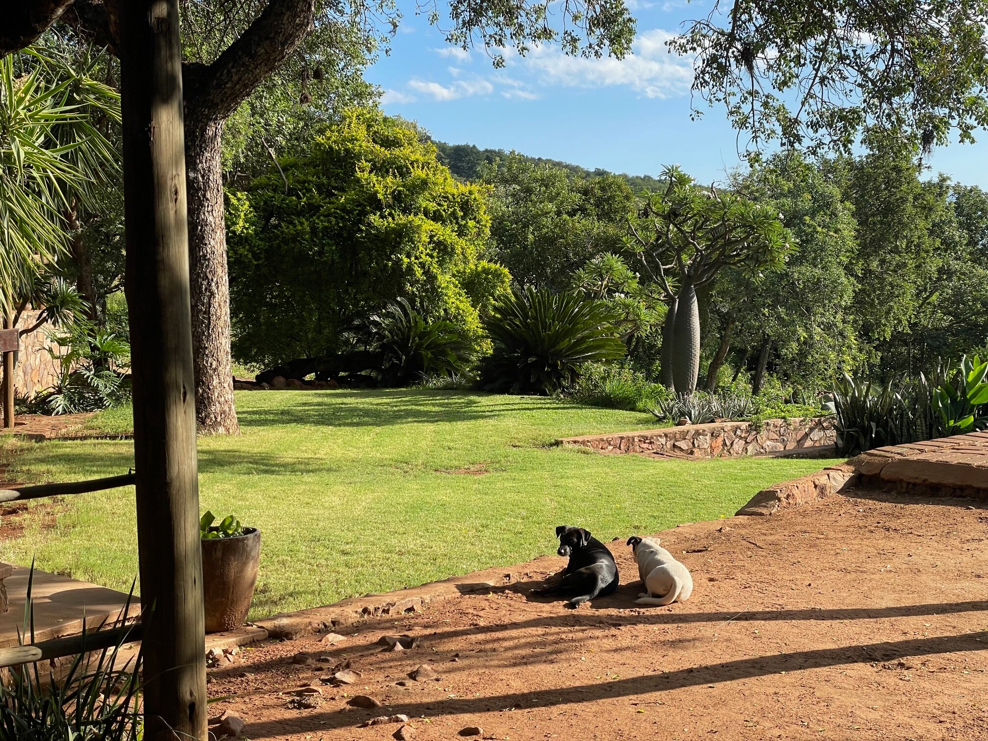 Marula Cottage Guest Lodge-浴室