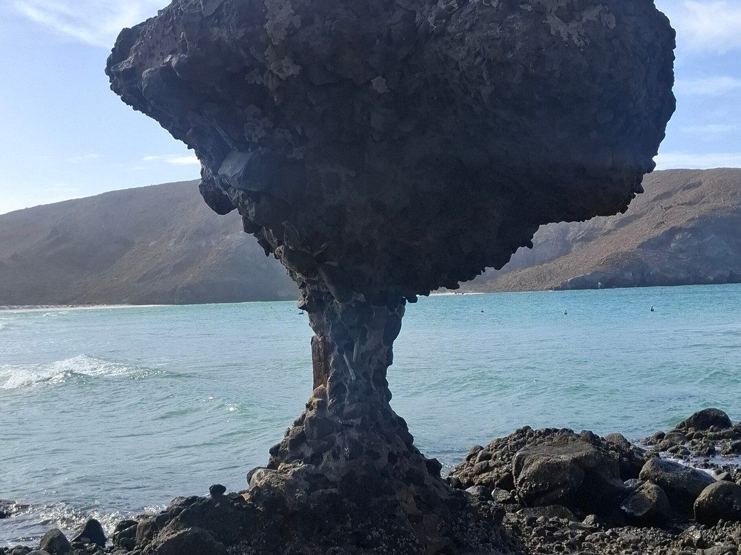 Luvis Tours-卡波圣卢卡斯必去景点