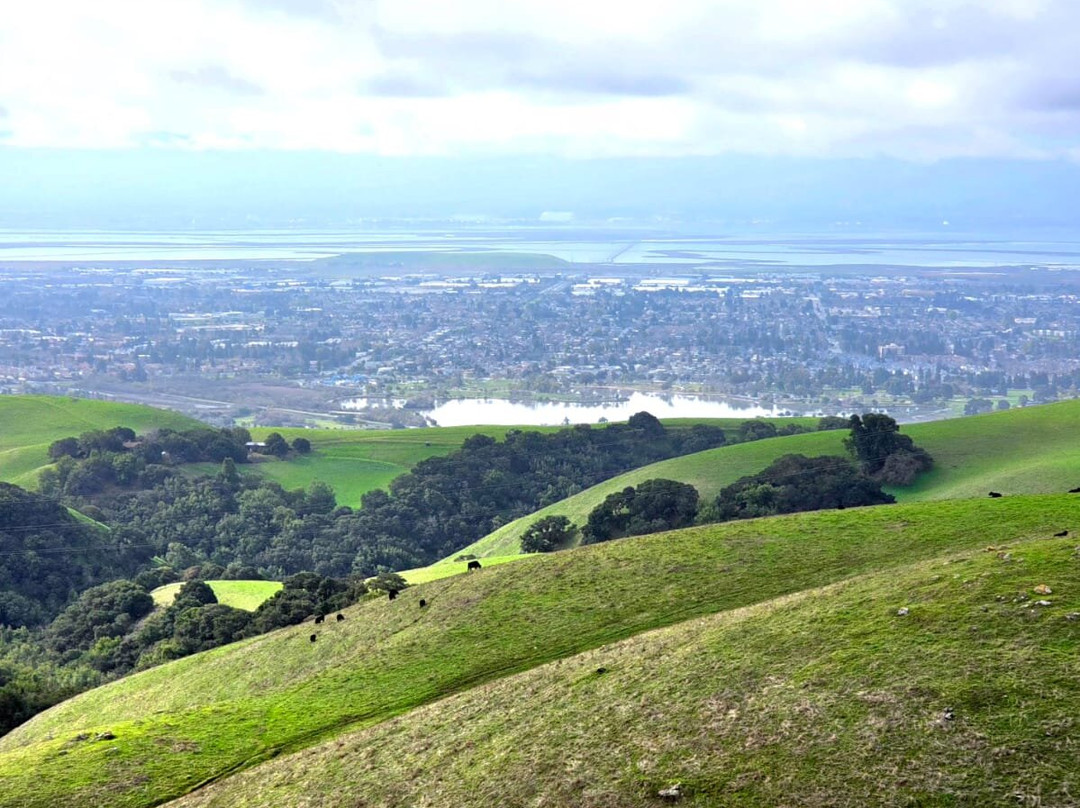 Vargas Plateau Regional Park-费利蒙必去景点