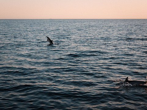 Boat Charter La Duquesa-马尼尔瓦必去景点