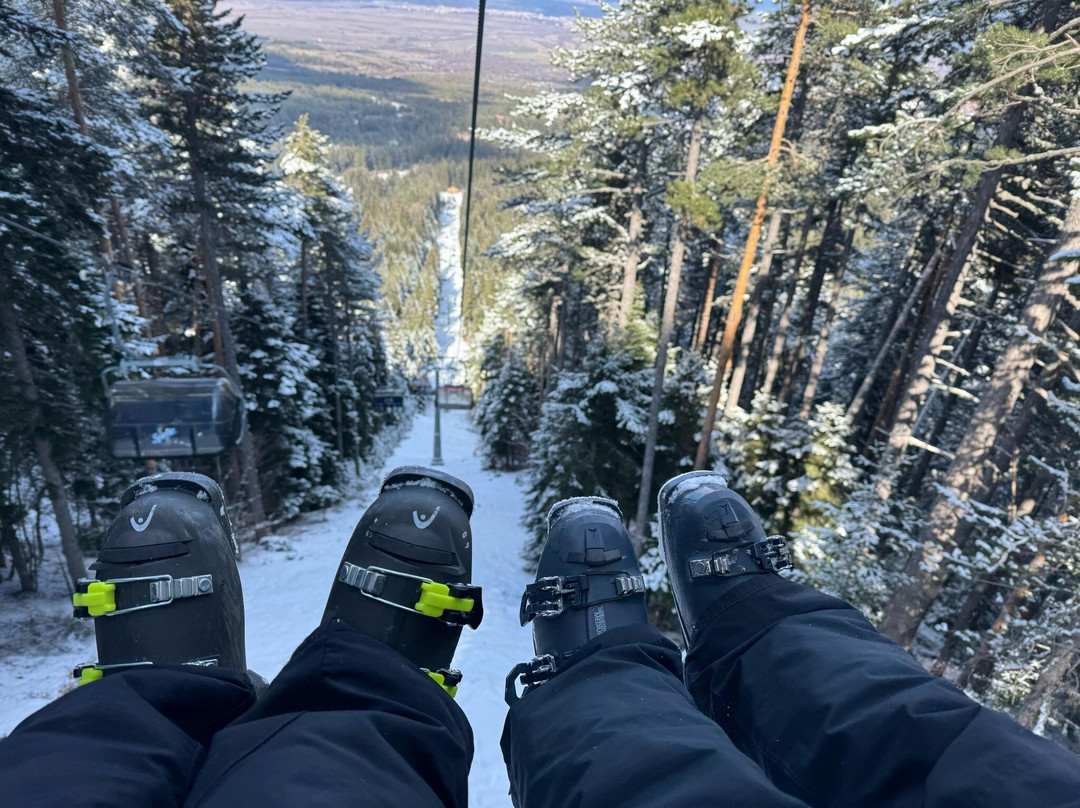 Solid Skills Snowsports School