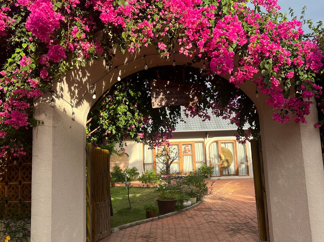 Golden Lotus Spa Phan Thiet景点图片