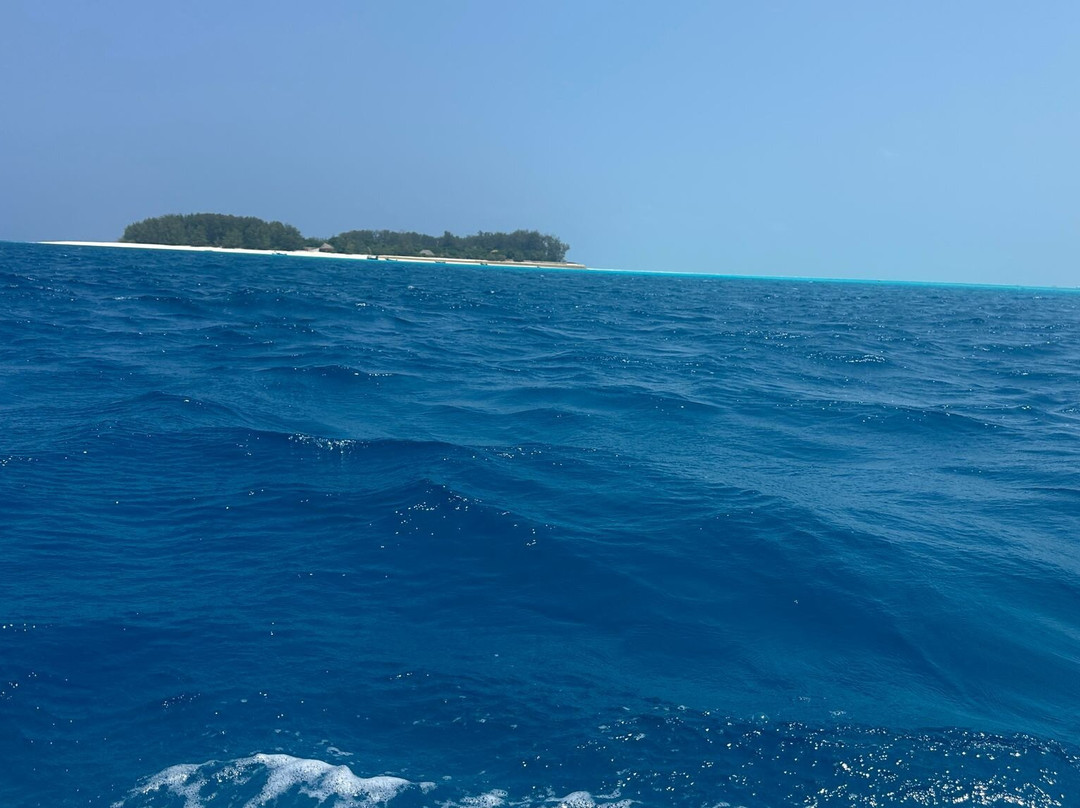 Ali Super Guide Zanzibar-Kilimajuu必去景点