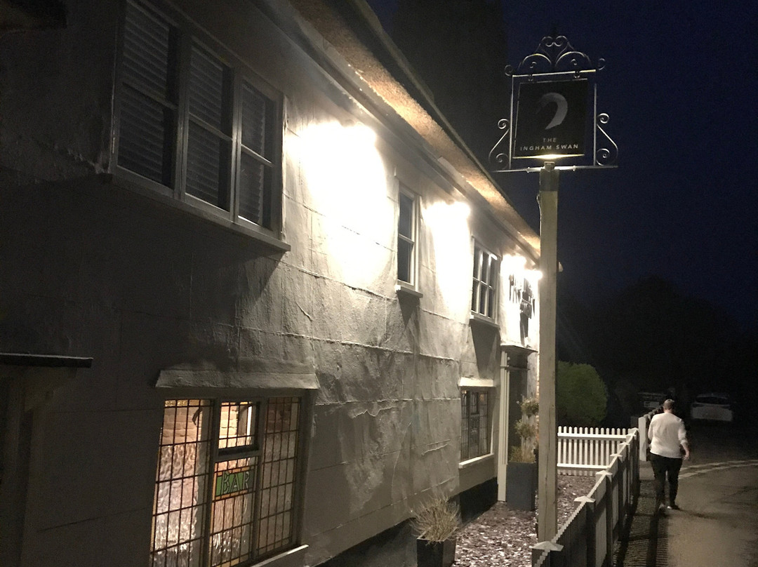The Ingham Swan主图