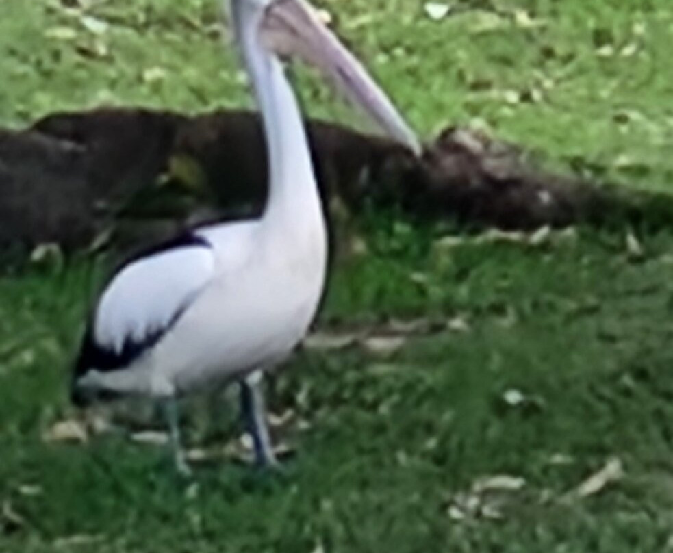 Midlands Motel主图