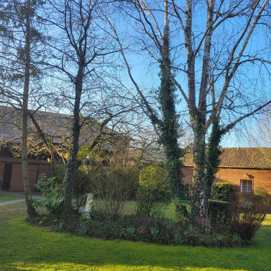 德连考特莱斯农庄旅馆-官方