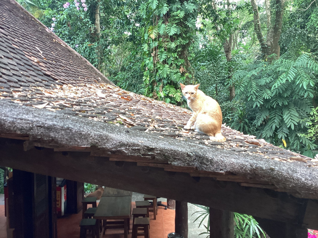 Art's Riverview Lodge主图