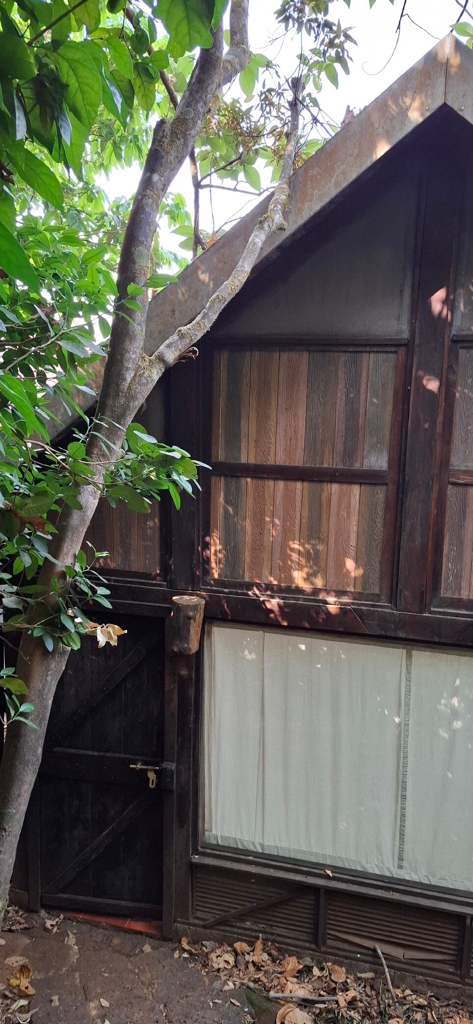Wildernest Nature Resort-官方