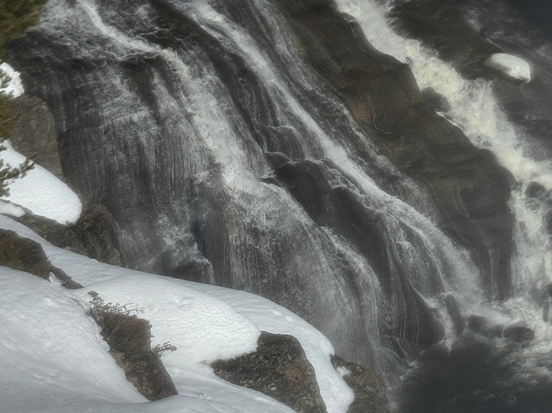 Gary Fales Outfitting-科迪必去景点