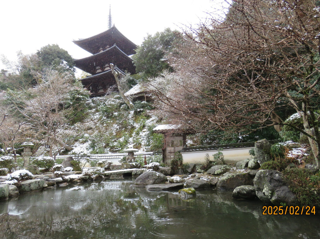 Taimadera Nakanobo景点图片