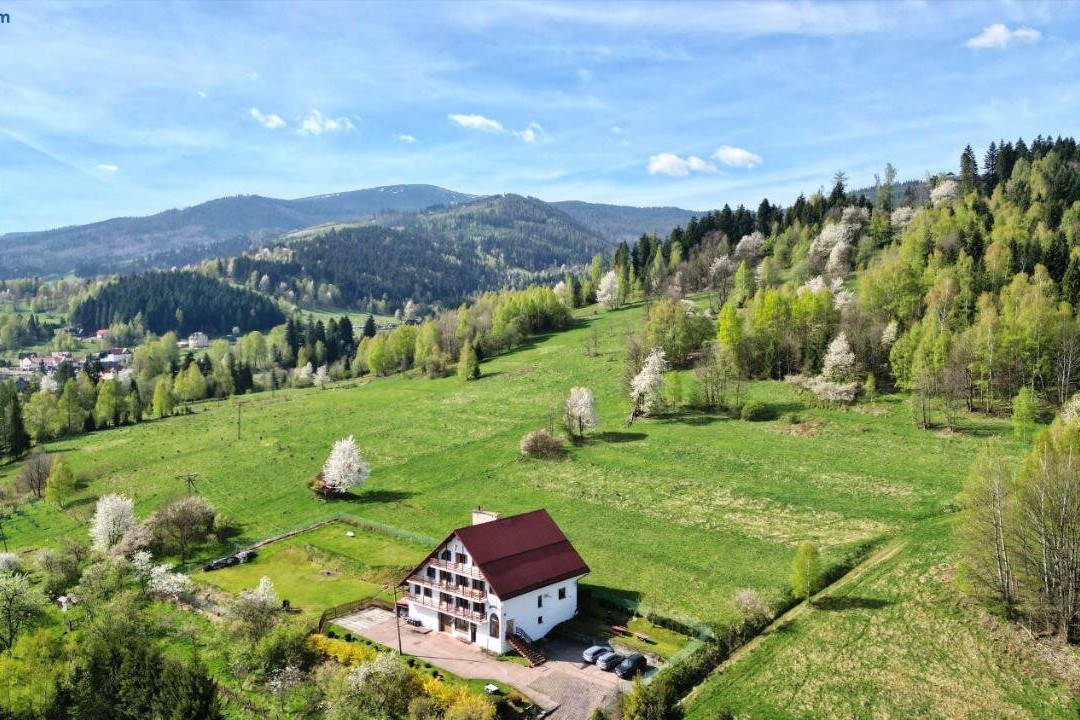Panorama