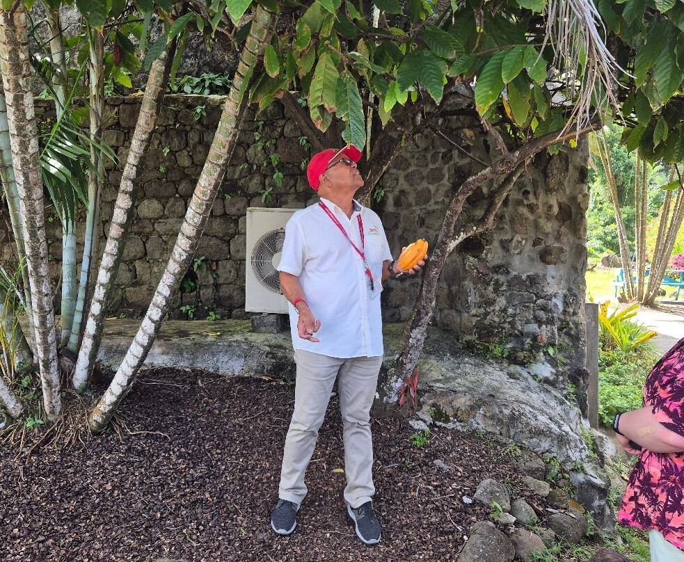 Jouvay Chocolate-Victoria必去景点