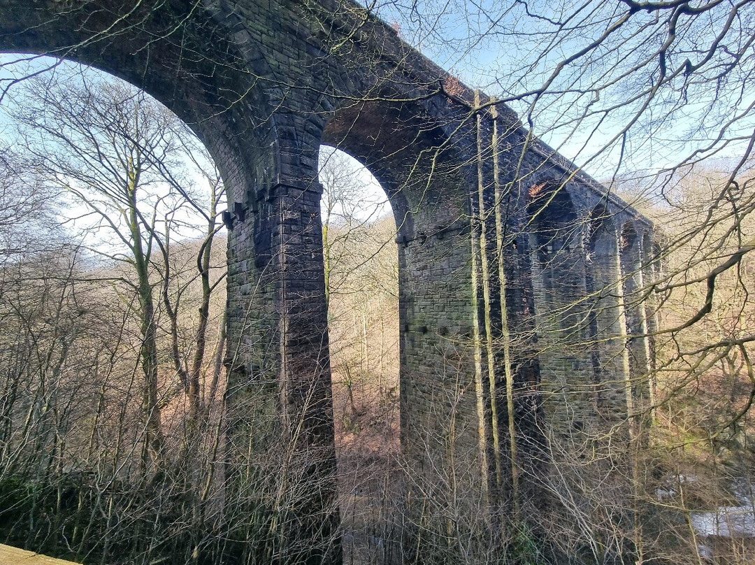Healey Dell Nature Reserve景点图片