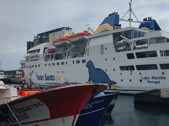 Porto Santo Line Day Cruise-沙尔必去景点