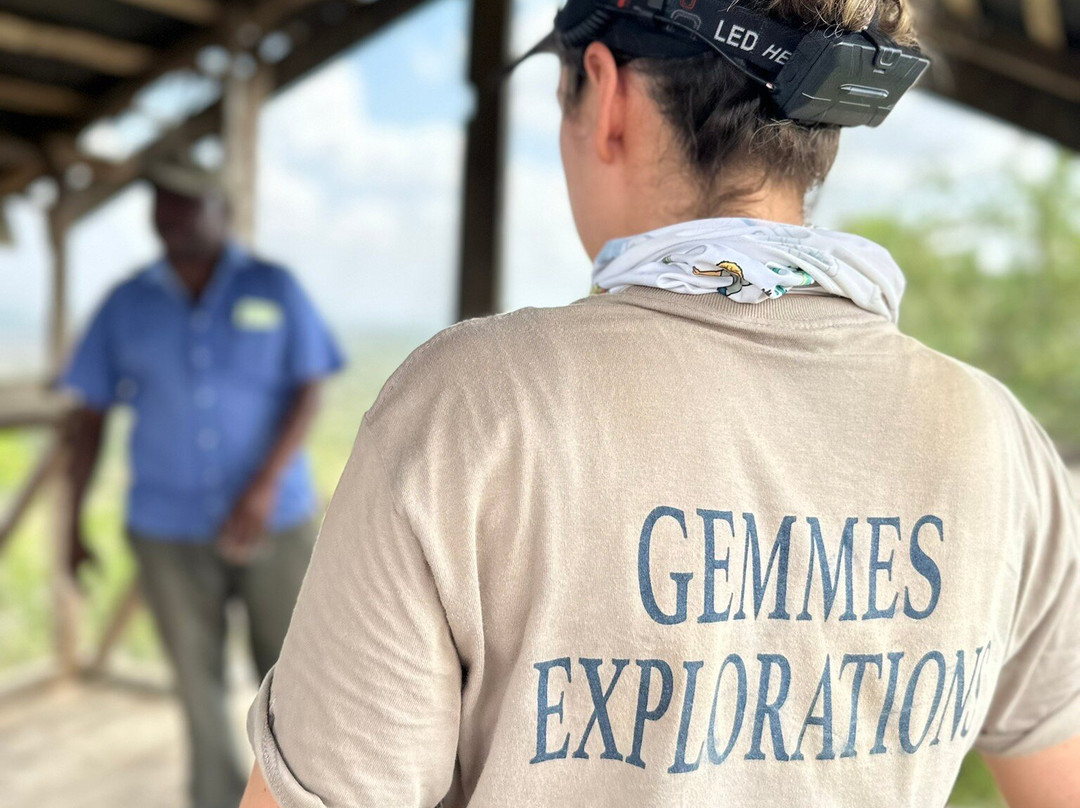 Terra Flora Gemstones-阿鲁沙必去景点