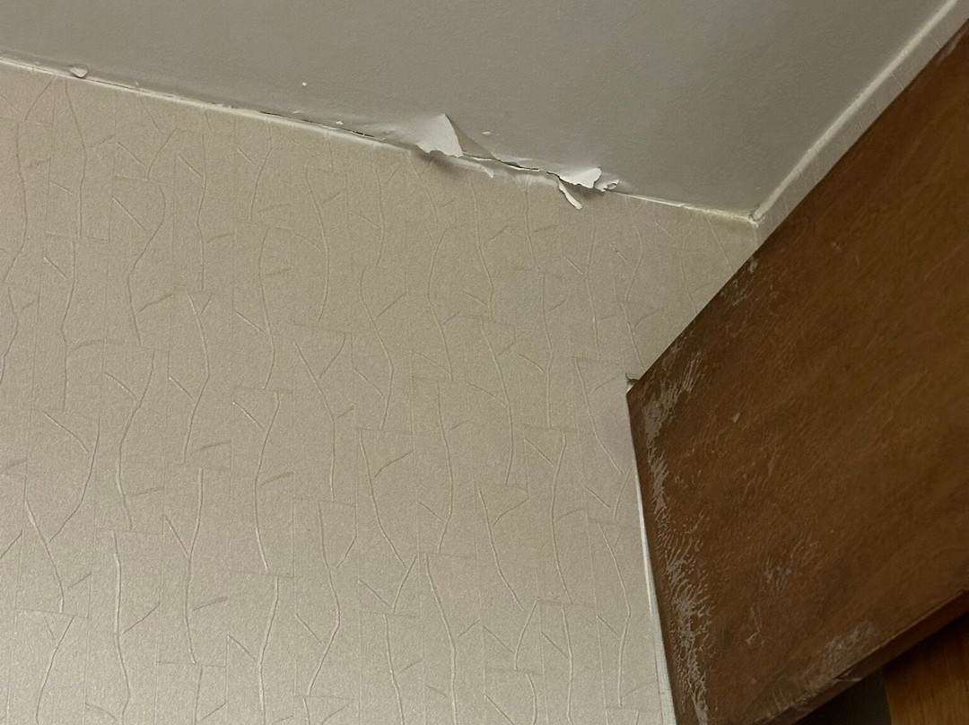 SpringHill Suites by Marriott Macon主图