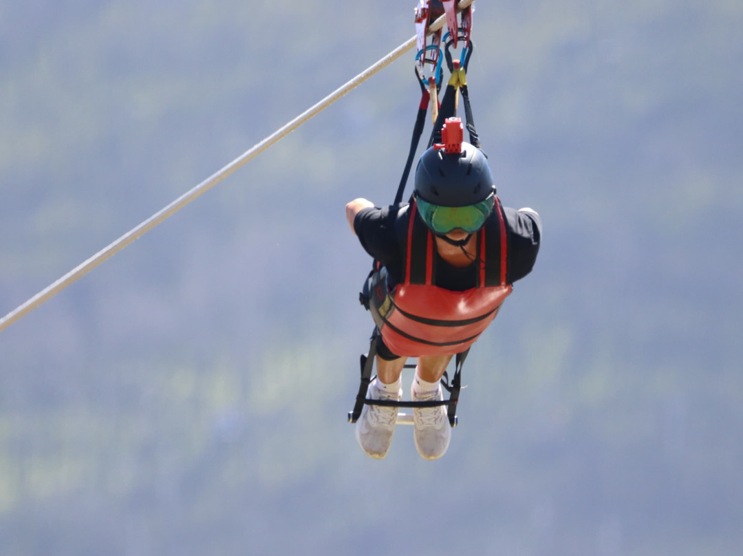 K3 Zipline Sa Forest Adventures-卡里登必去景点