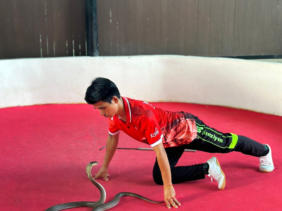 Snake Farm and Monkey School-奥南必去景点