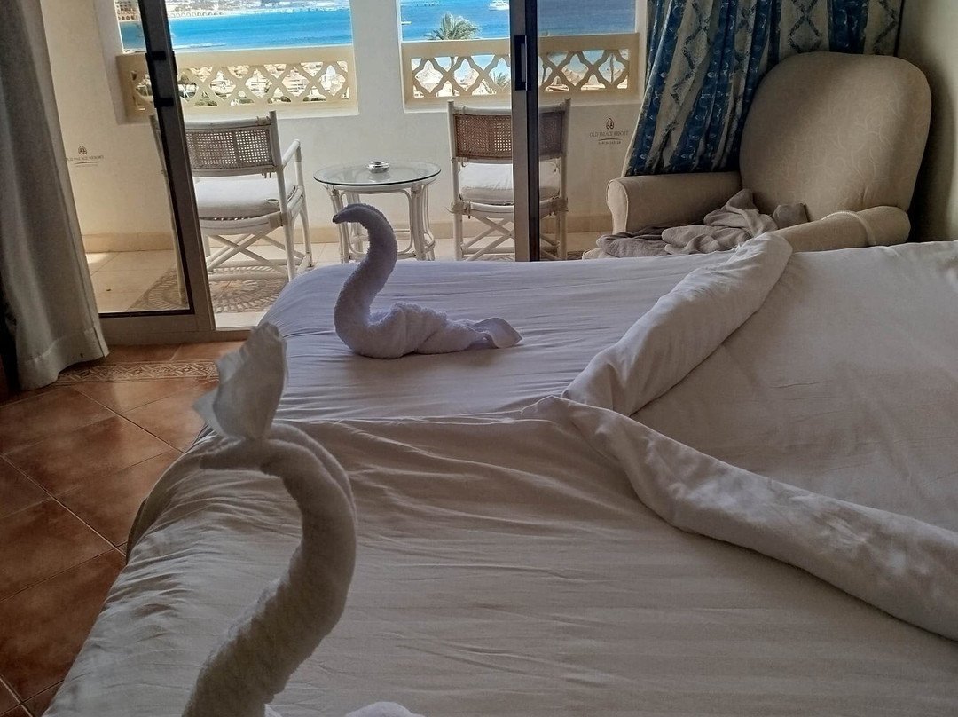 萨尔哈什古宫度假酒店主图