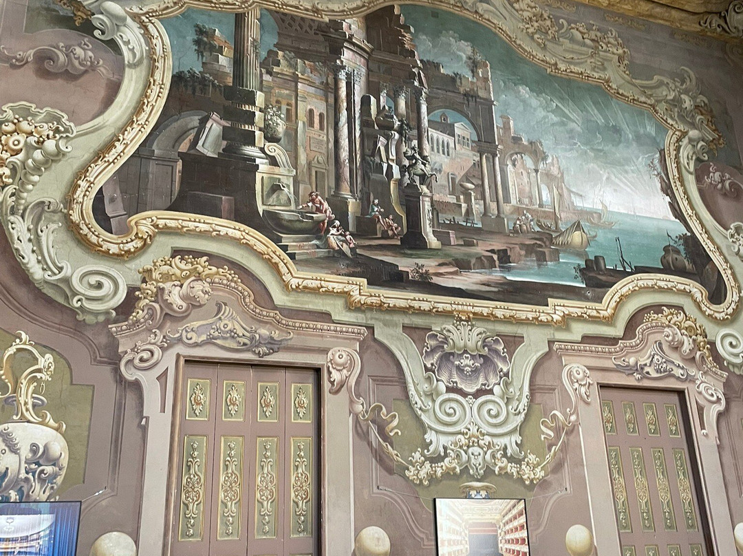 Palazzo Gozani Di Treville景点图片
