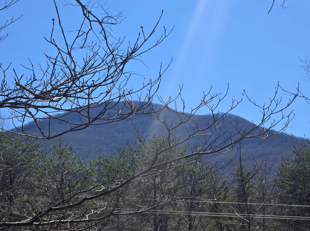 Sylvan Valley Lodge And Cellars主图