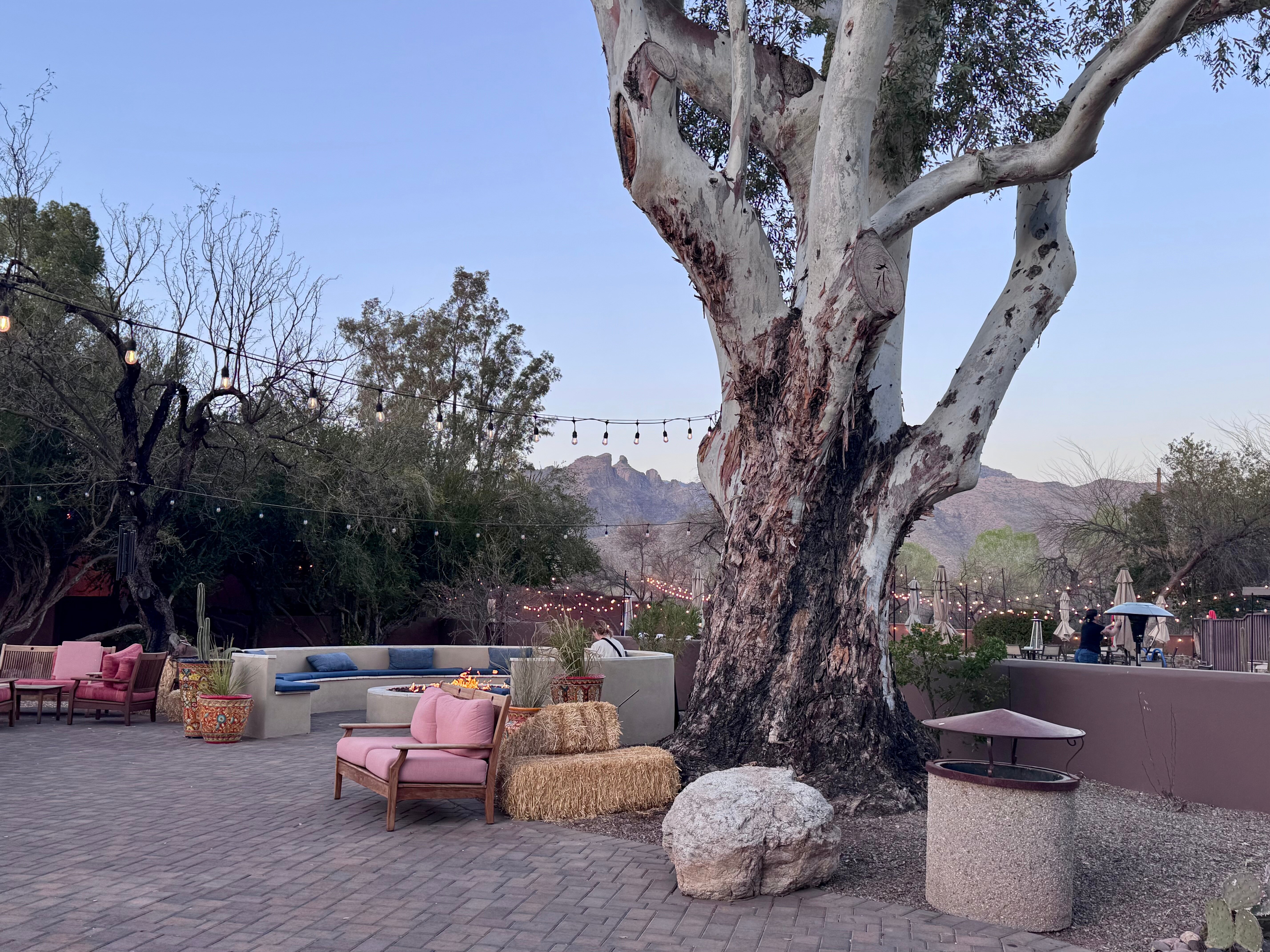 Canyon Ranch Wellness Resort Tucson-浴室