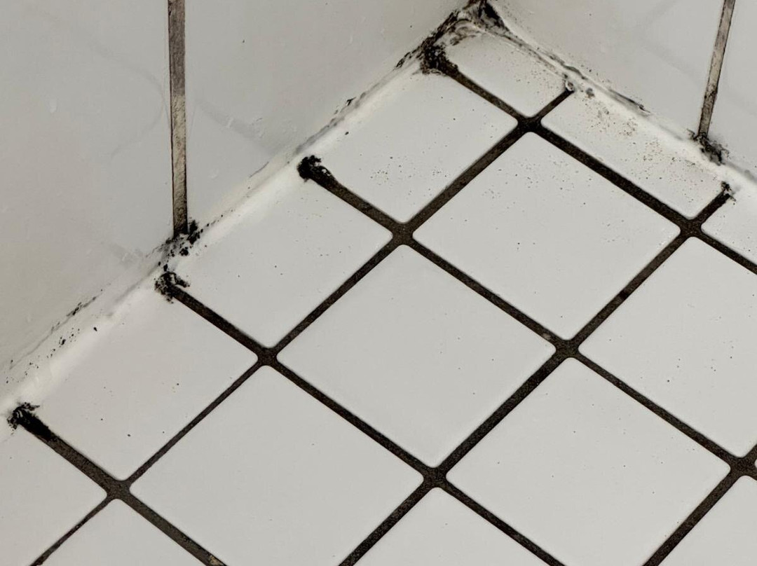 Sunseeker Motel主图