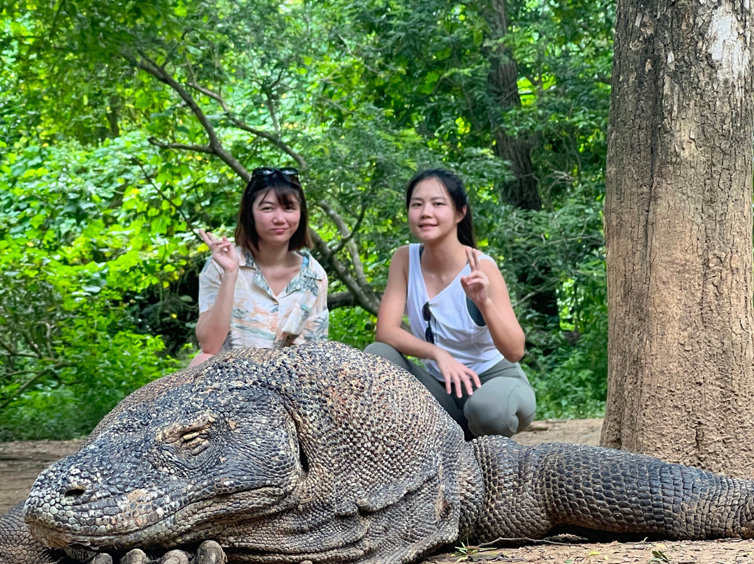 Bajo Explore-Labuan Bajo必去景点