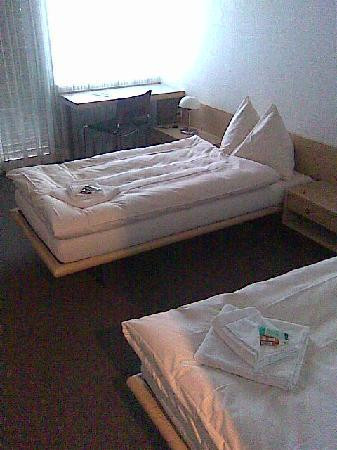 Swiss Olympic House Hotel Magglingen主图