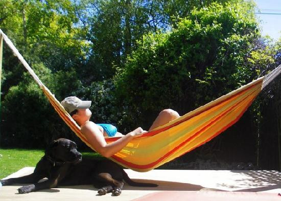 Brighton by the Beach主图