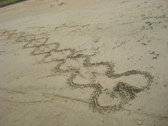 The Atharva Inn主图