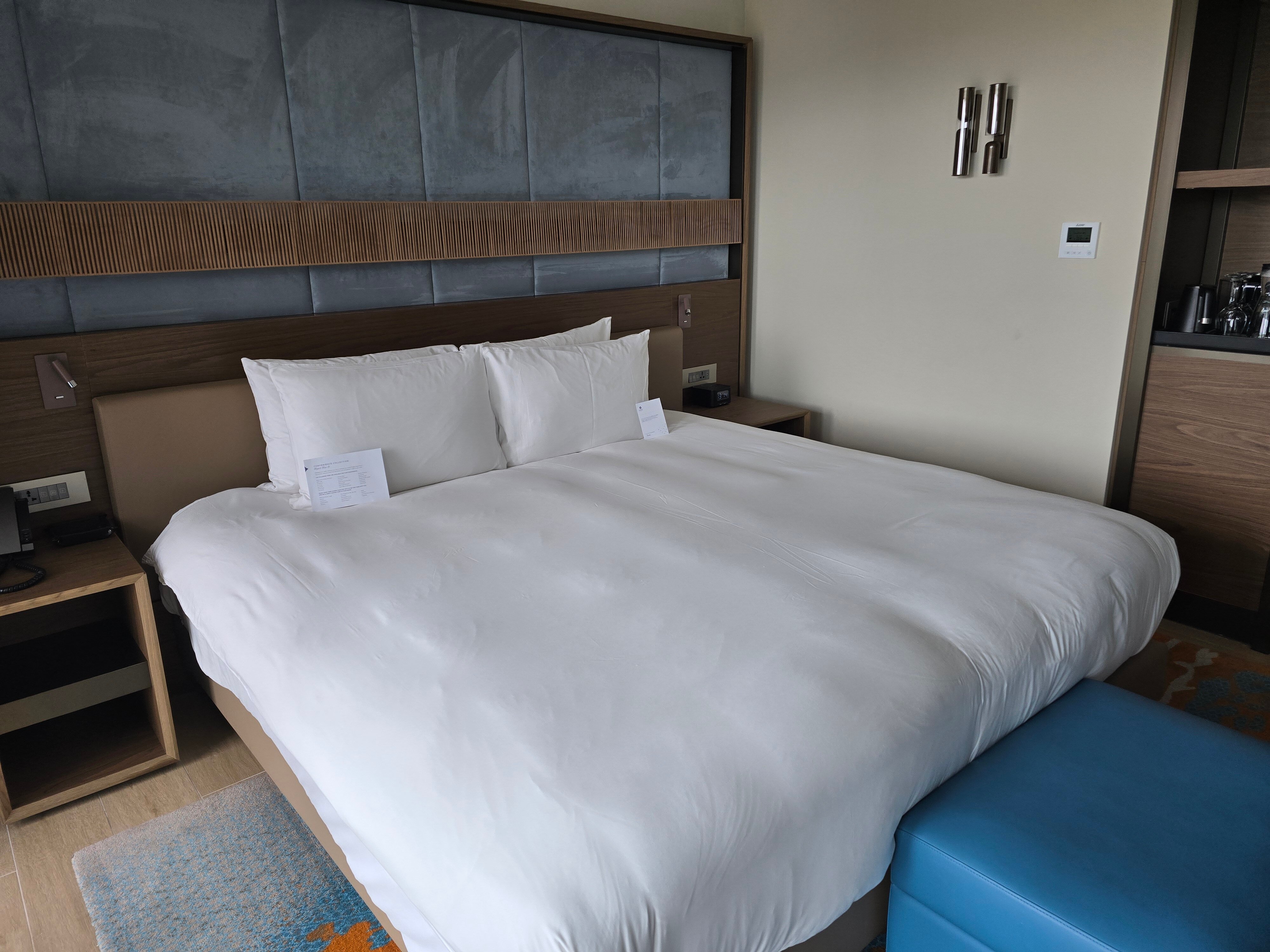 Hyatt Regency Malta-客卧