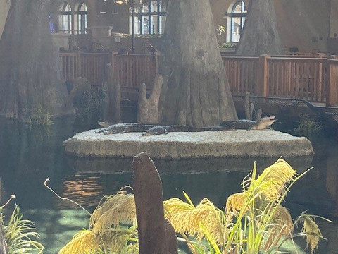 帕拉贡娱乐场度假村主图