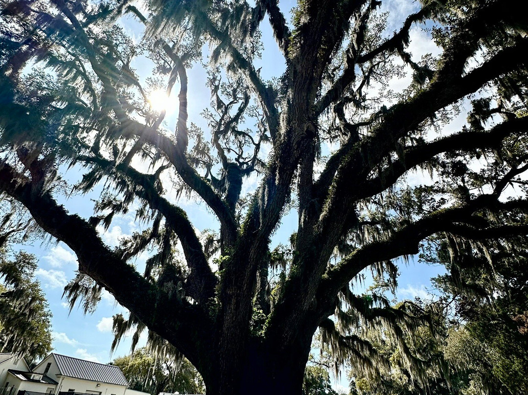 Beaufort National Cemetery景点图片