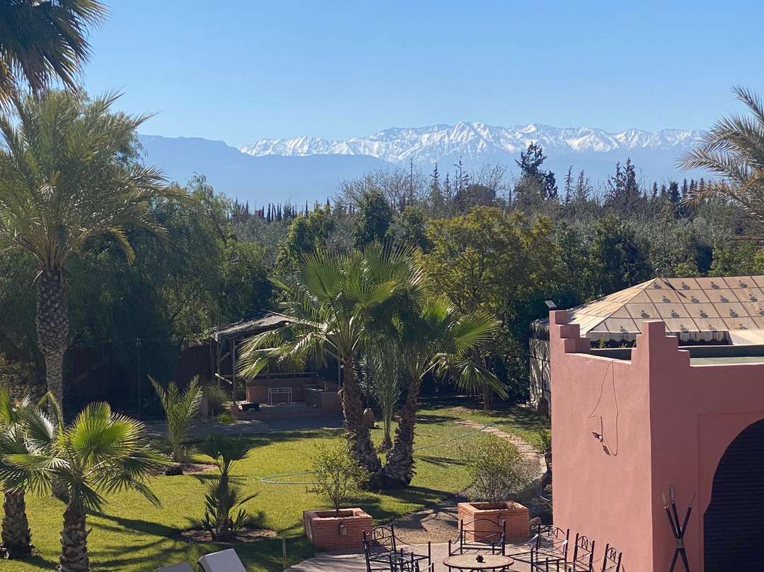 Le Rubis Oriental主图