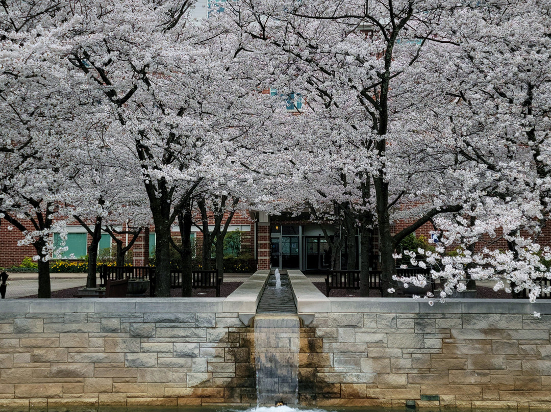 Bellefonte旅游攻略图片
