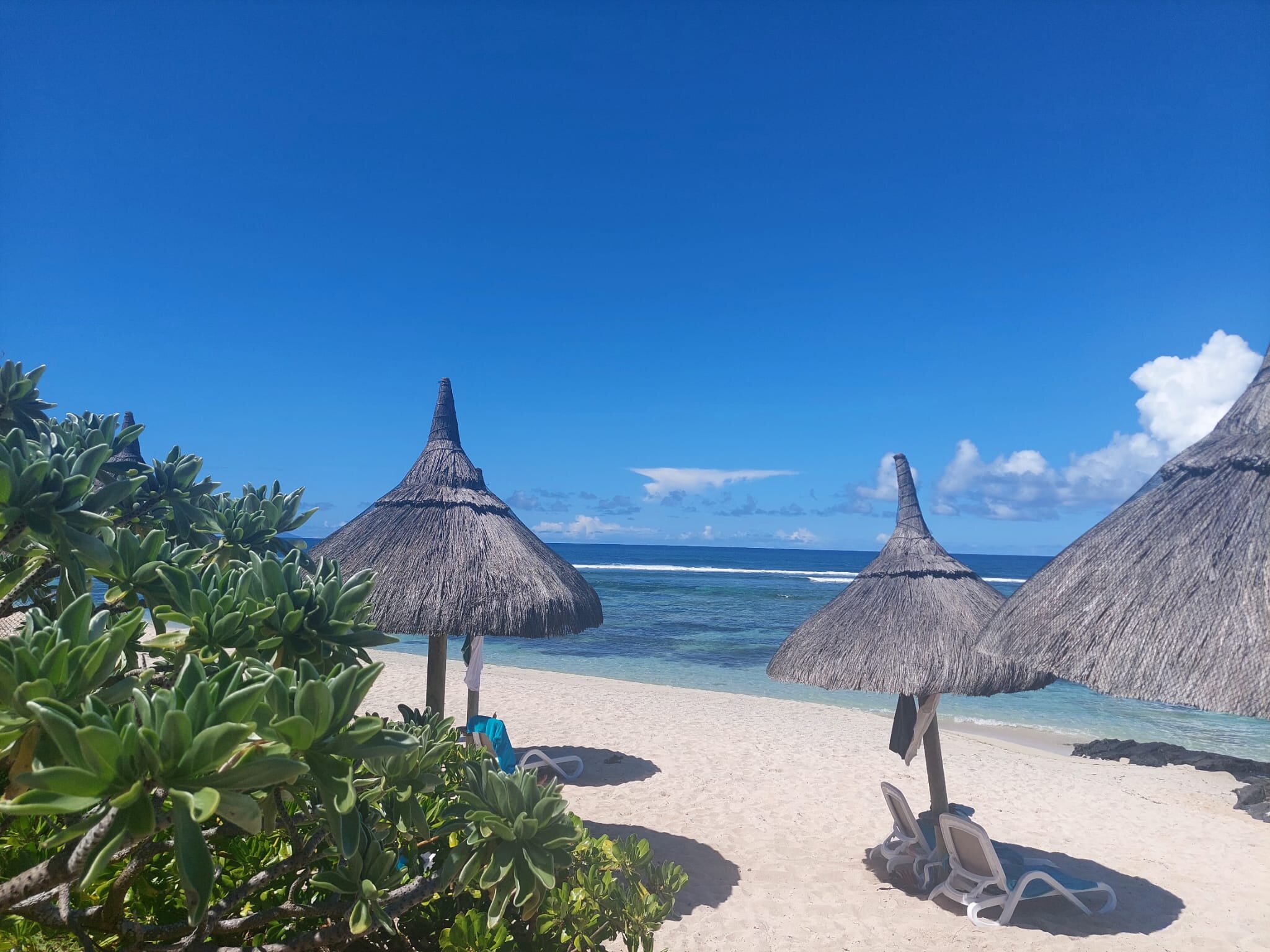 Radisson Blu Poste Lafayette Resort & Spa, Mauritius-泳池