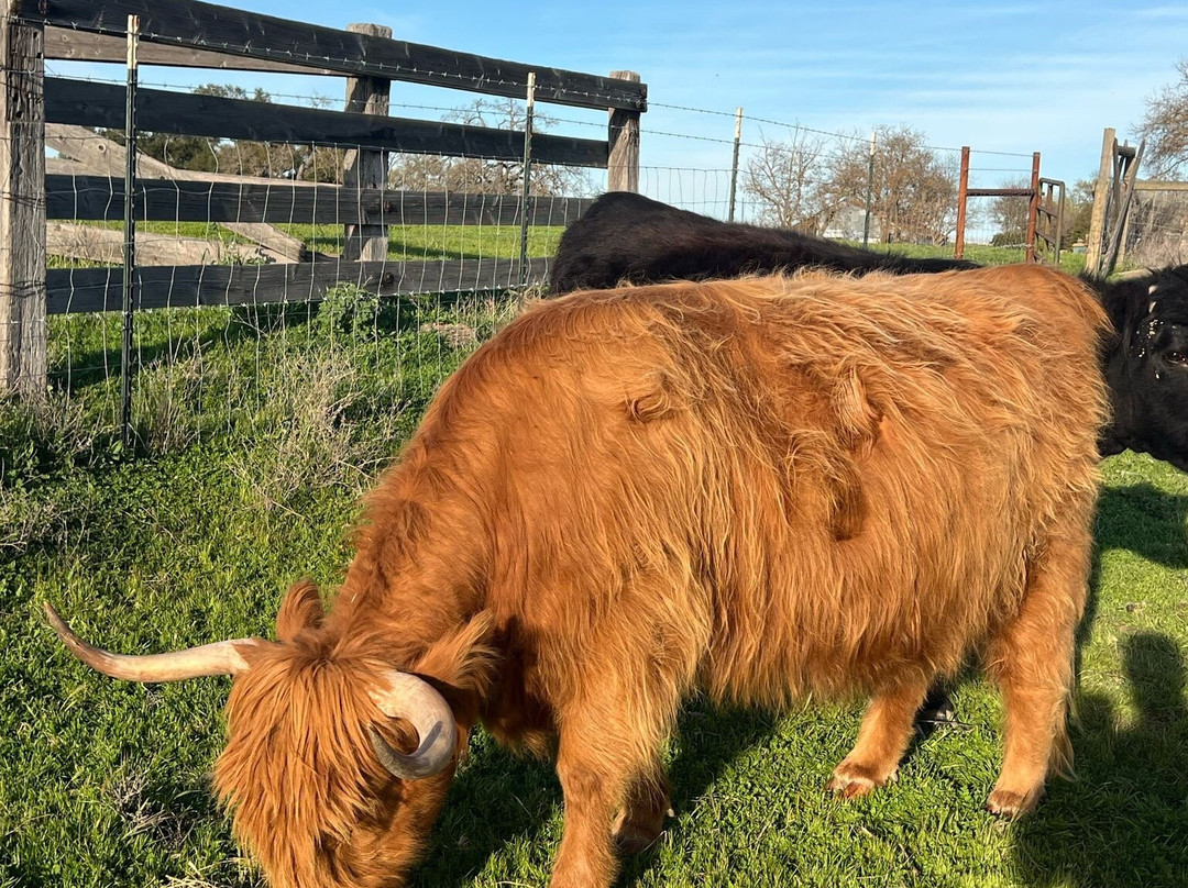 Kindred Oak Farm主图