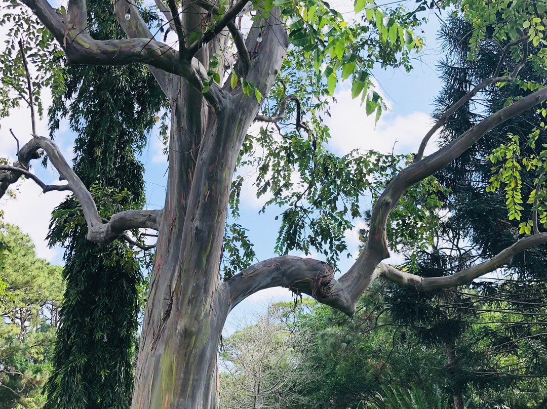 Deerfield Beach Arboretum-迪尔菲尔德比奇必去景点