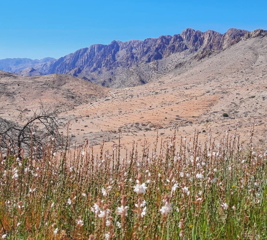 Vallee d'Ait Mansour-Tafraoute必去景点