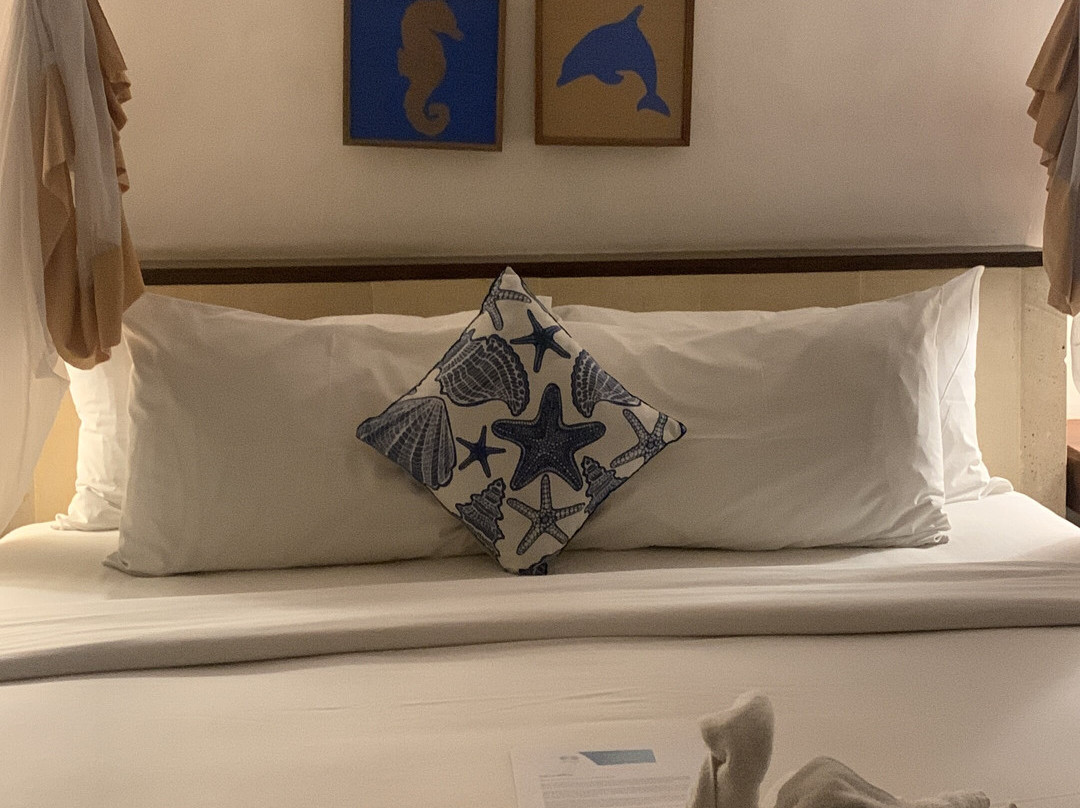 阿拉姆阿斯玛拉潜水度假村主图