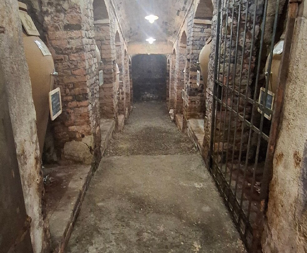 Tenuta Di Ghizzano景点图片