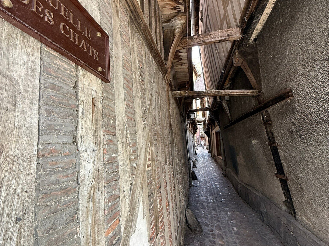 Ruelle des Chats-特鲁瓦必去景点