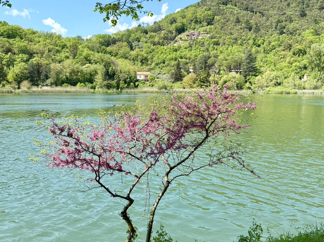 Fattoria Del Quondam主图