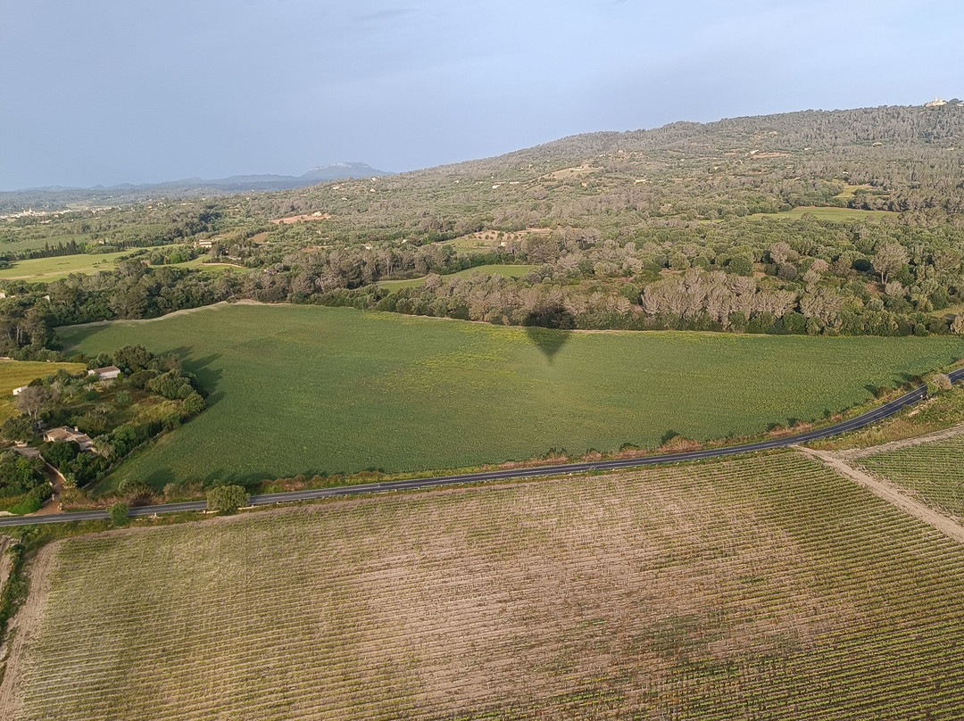 Mallorca Balloons景点图片