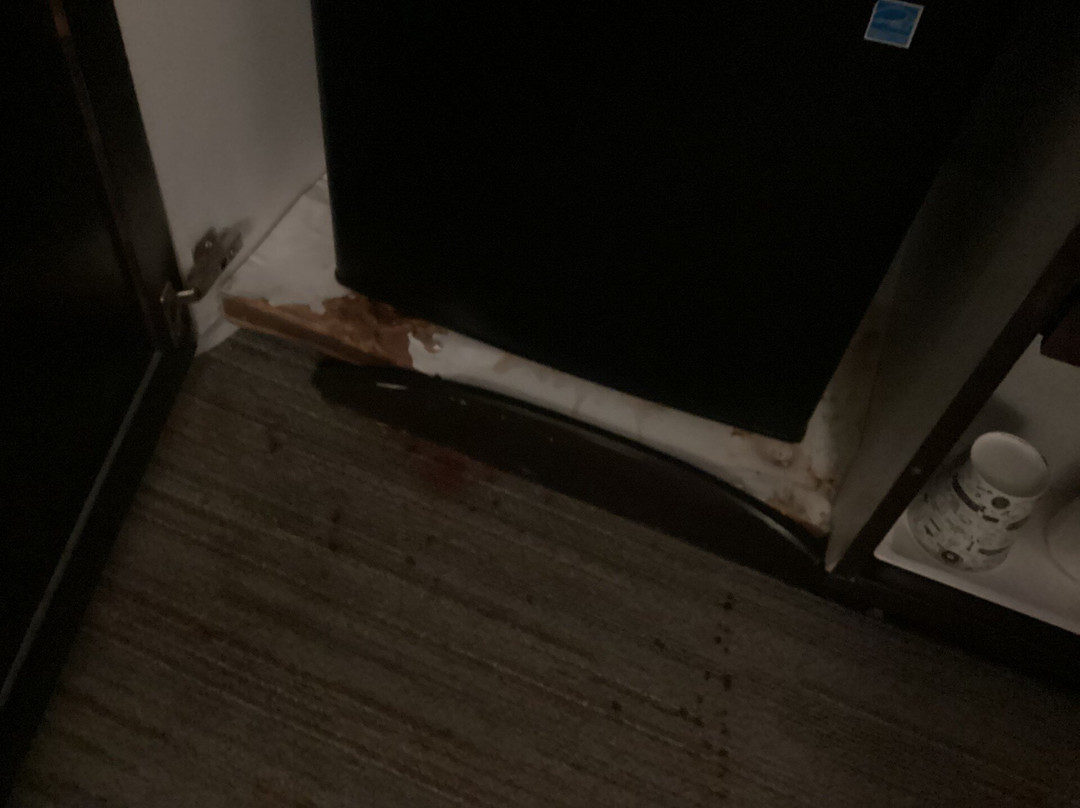 Hampton Inn Gaylord主图