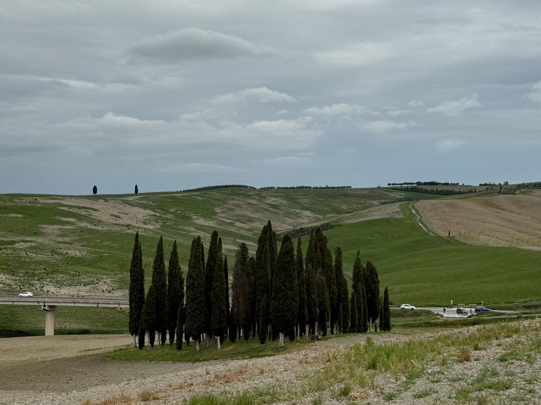 Cipressi di San Quirico d'Orcia-圣奎里科多尔恰必去景点