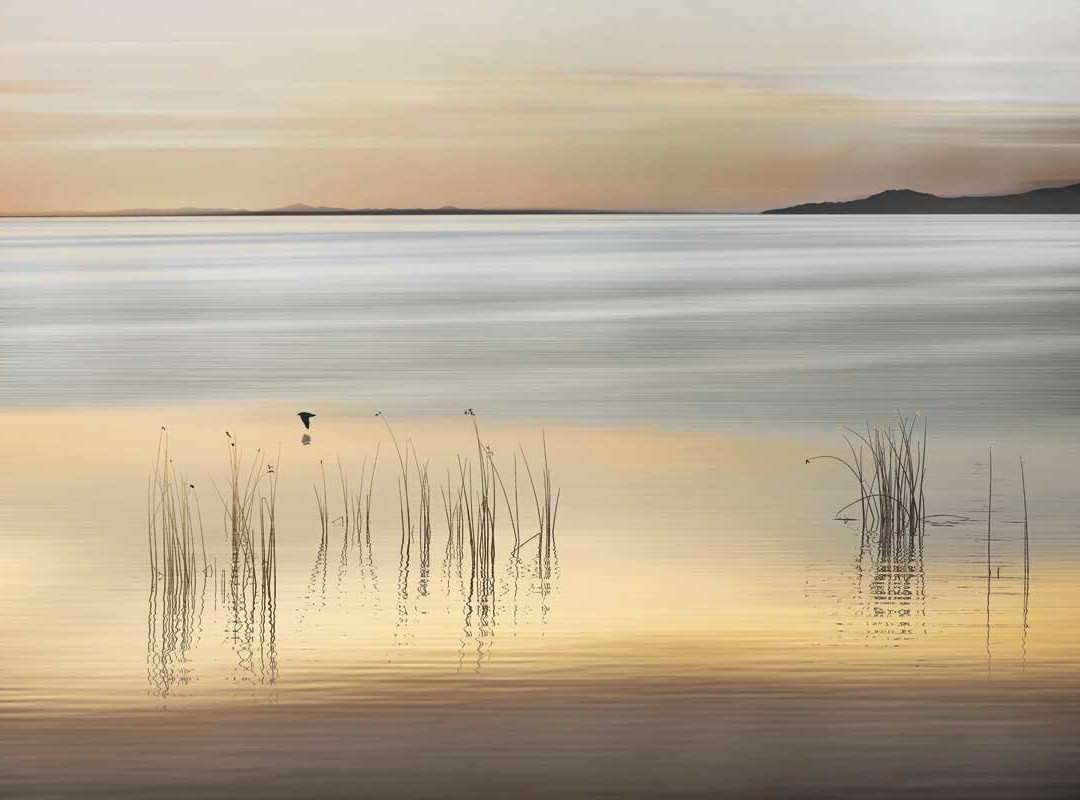 Blue Seas Gallery-温哥华必去景点