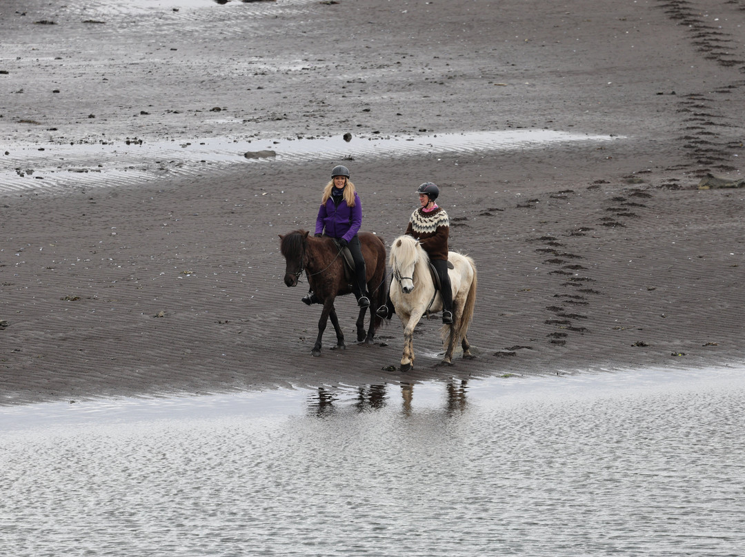 Dalahestar-布扎达吕尔必去景点