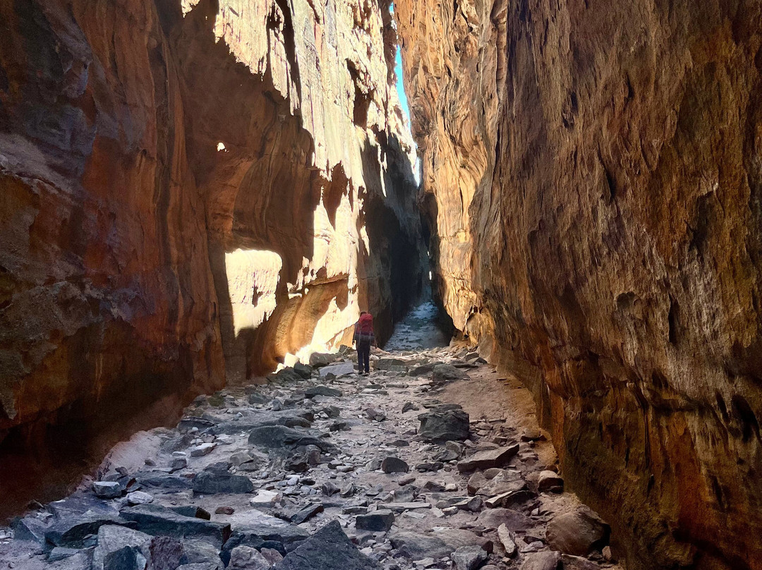 Climb Table Mountain-开普敦中心区必去景点